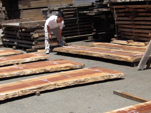 モンキーポッド　一枚板