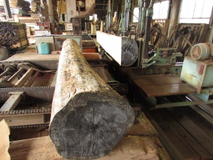 紅松（ベニマツ）　無垢材