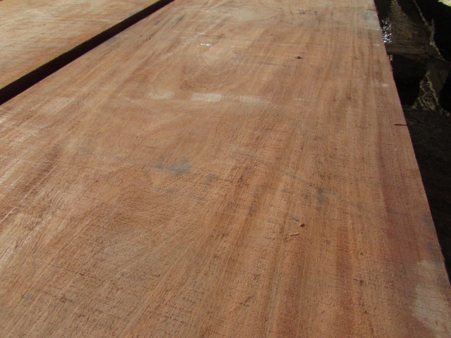 ホンジュラスマホガニー　一枚板