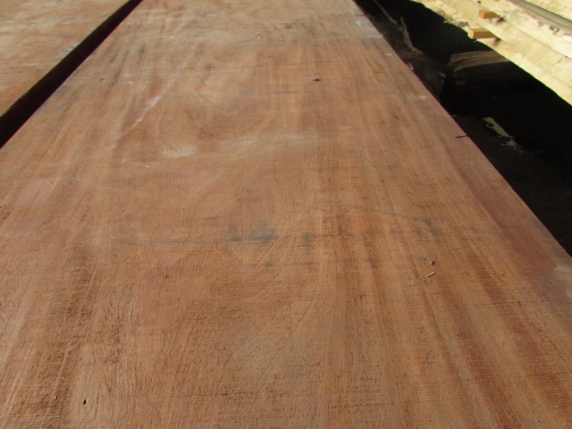 ホンジュラスマホガニー　一枚板