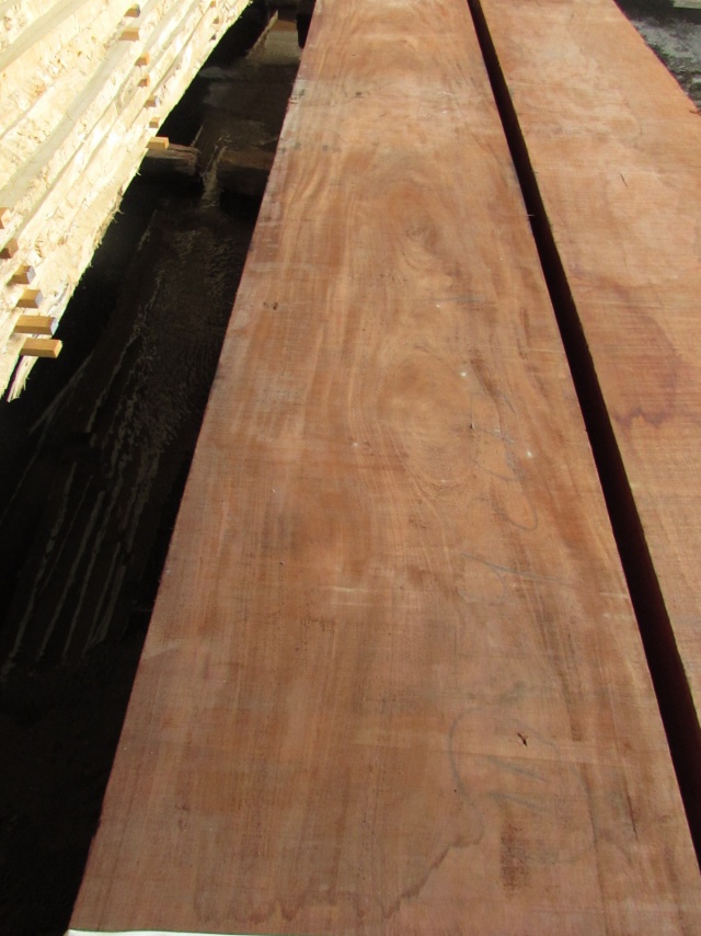 ホンジュラスマホガニー　一枚板