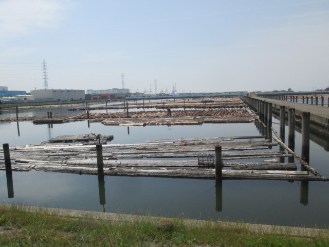 スプルース　丸太