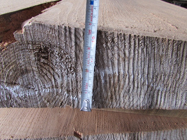 杉（スギ）　一枚板