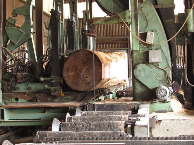 杉（スギ）丸太　製材