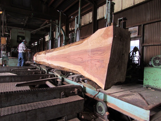 杉（スギ）　製材　無垢材