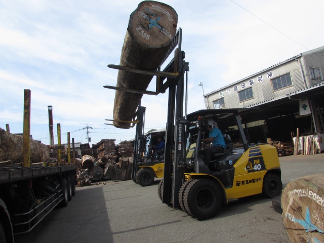ボセ　ラボア　エビアラ　ニヤトー　丸太
