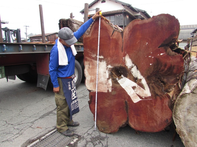 米杉（ベイスギ）　丸太