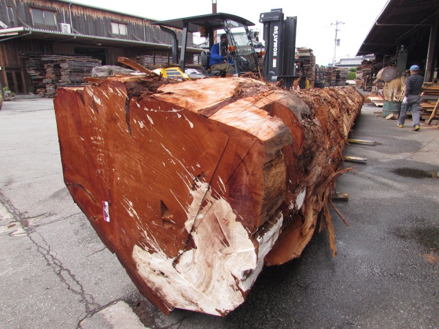 米杉（ベイスギ）　丸太