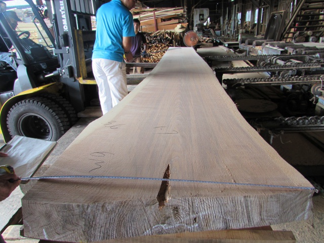 杉（スギ）　一枚板