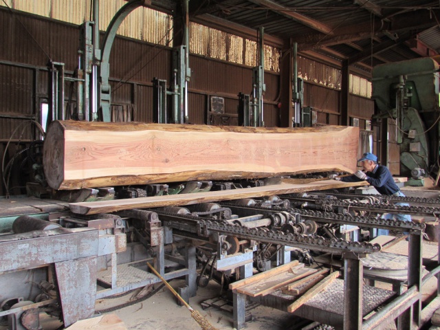 杉（スギ）丸太　製材