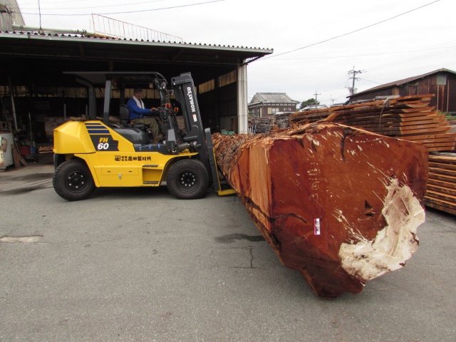 米杉（ベイスギ）　丸太