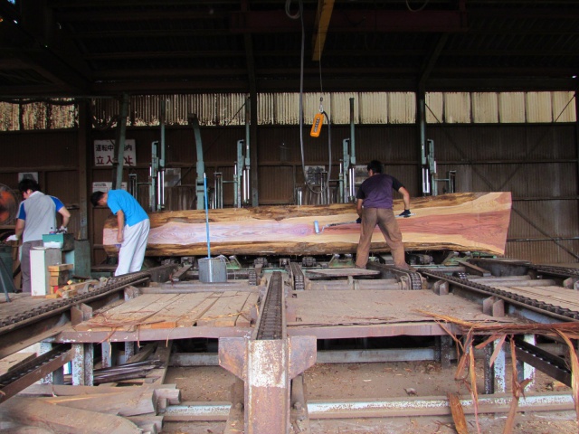 杉（スギ）丸太　製材