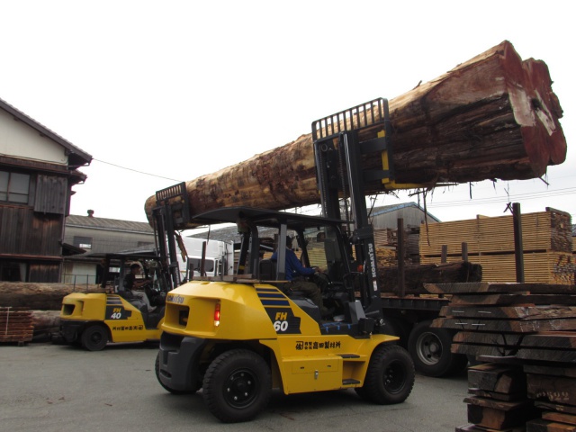 米杉（ベイスギ）　丸太