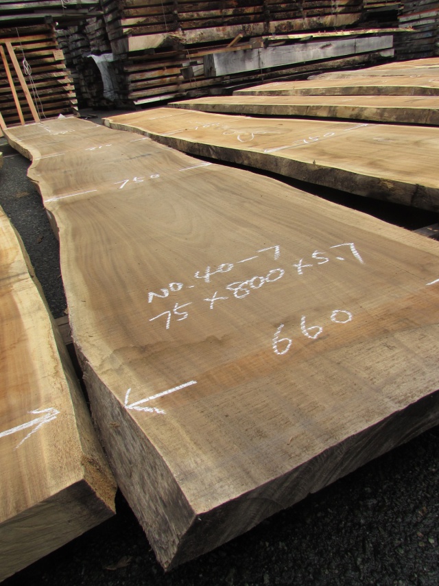 モンキーポッド　一枚板