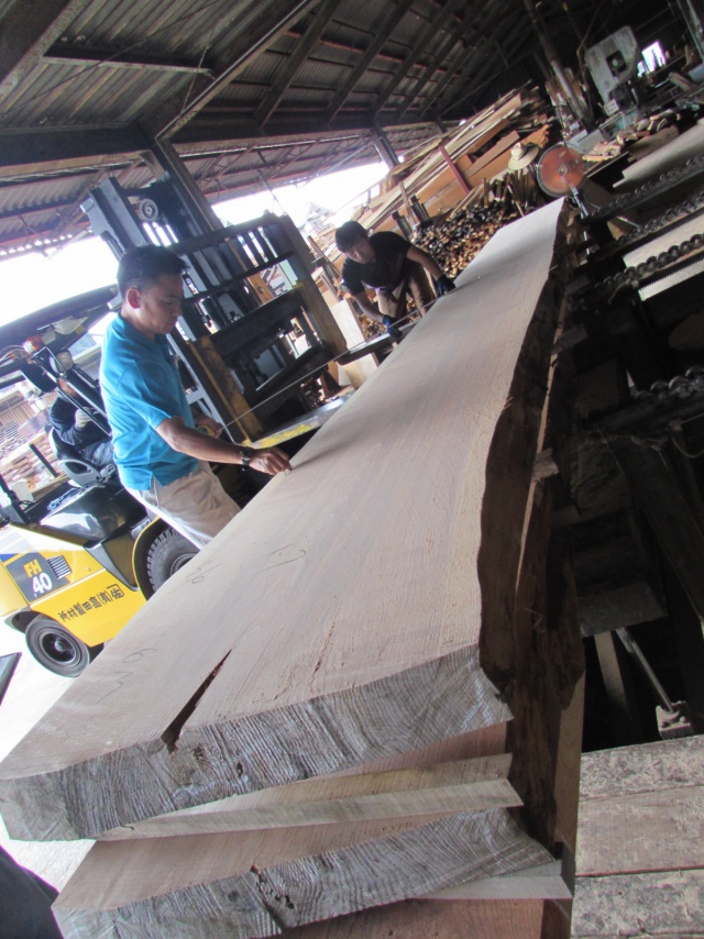 杉（スギ）　一枚板