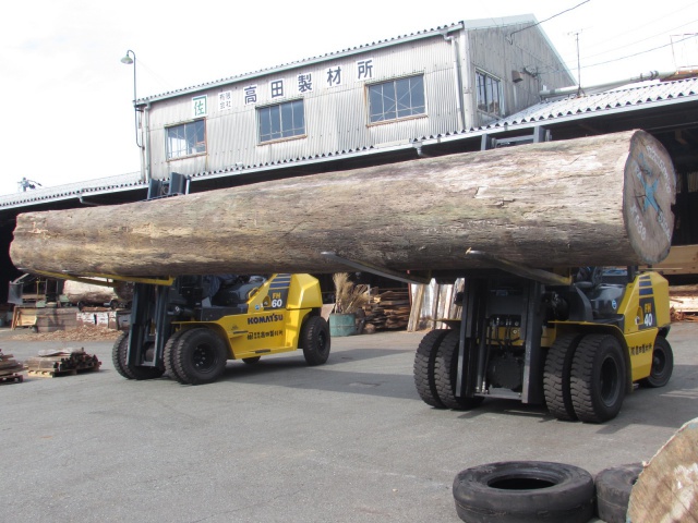 ボセ　ラボア　エビアラ　ニヤトー　丸太
