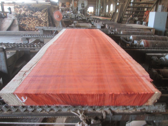 パドゥク　一枚板