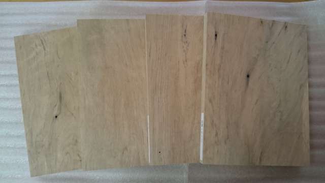 紅葉（モミジ）　木材見本