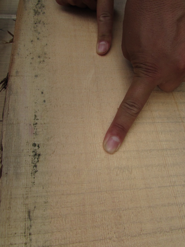 スプルース　無垢材