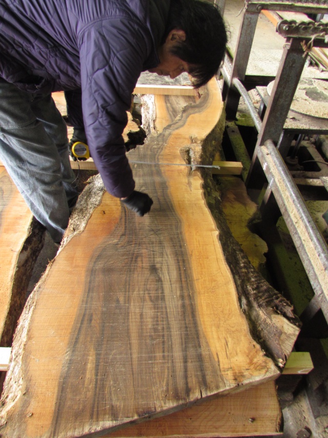 萵苣（チシャ）　無垢材