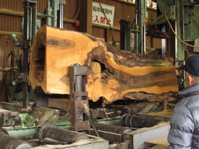 萵苣（チシャ）　無垢材