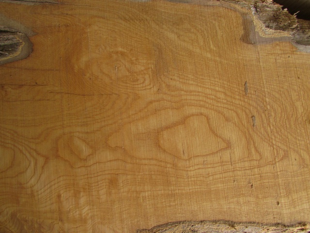 萵苣（チシャ）　無垢材