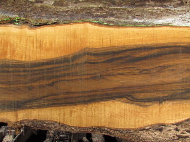 萵苣（チシャ）　無垢材