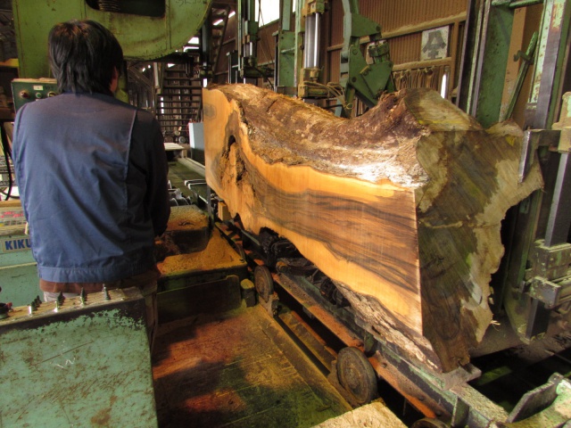 萵苣（チシャ）　無垢材