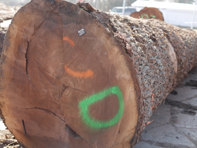 ウォールナット　一枚板