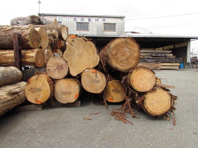 木曽檜（キソヒノキ）　丸太
