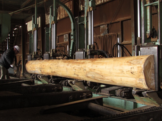 木曽檜（キソヒノキ）　製材