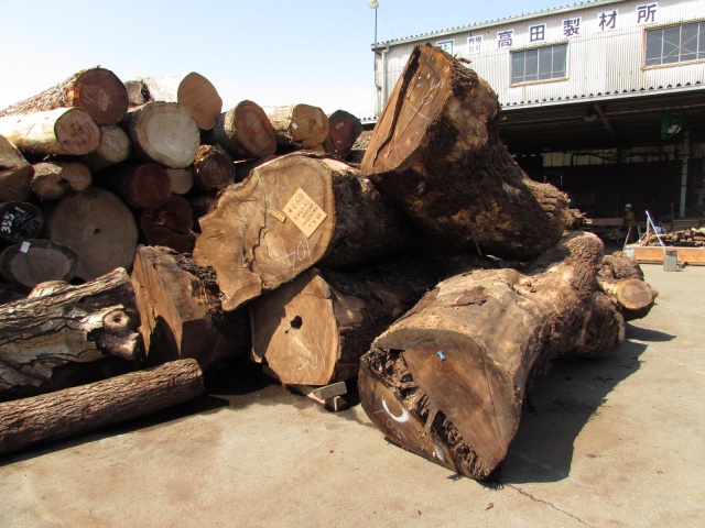 ウォールナット　丸太