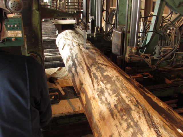 バルサム　無垢材