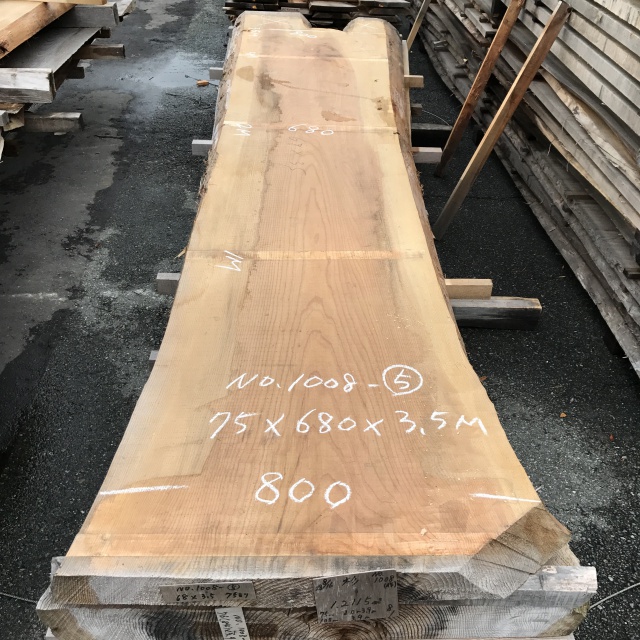 杉（スギ）　一枚板