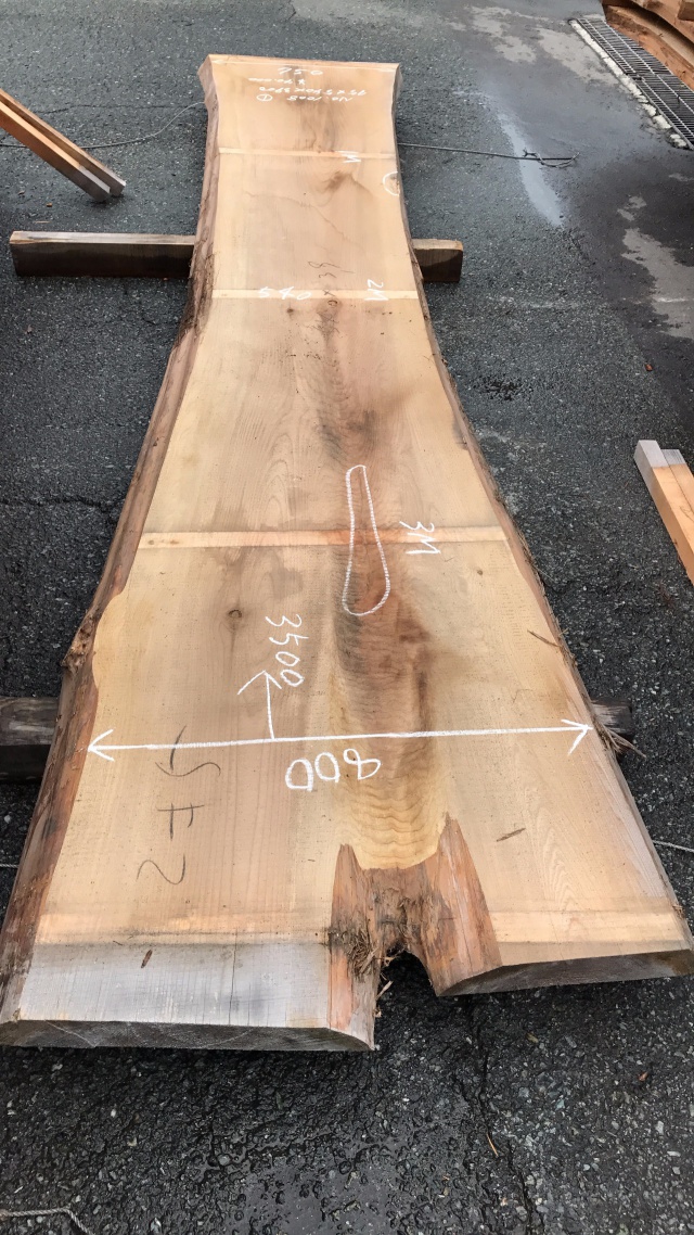 杉（スギ）　一枚板