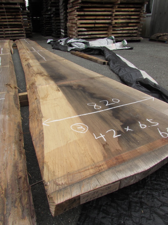 杉（スギ）　一枚板