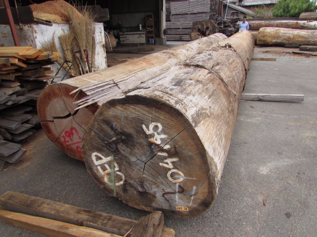 ペンシルシダー　丸太