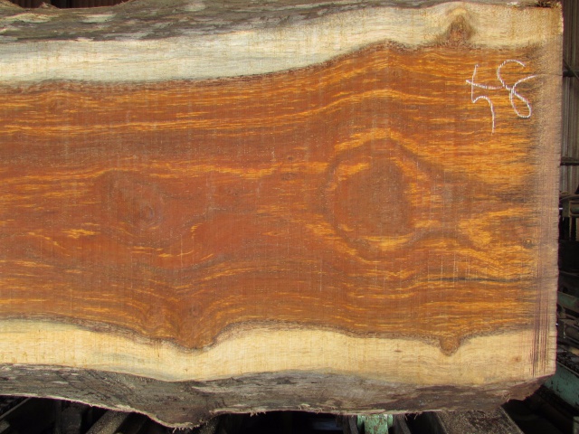 メルバウ　無垢材