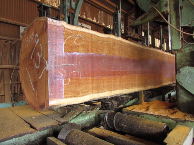 メルバウ　無垢材