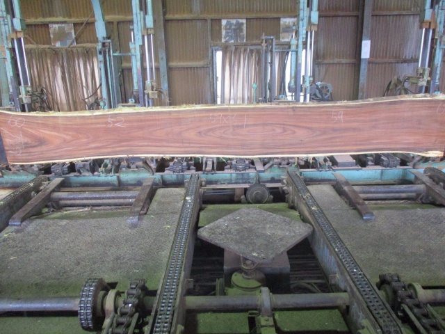 モンキーポッド　一枚板