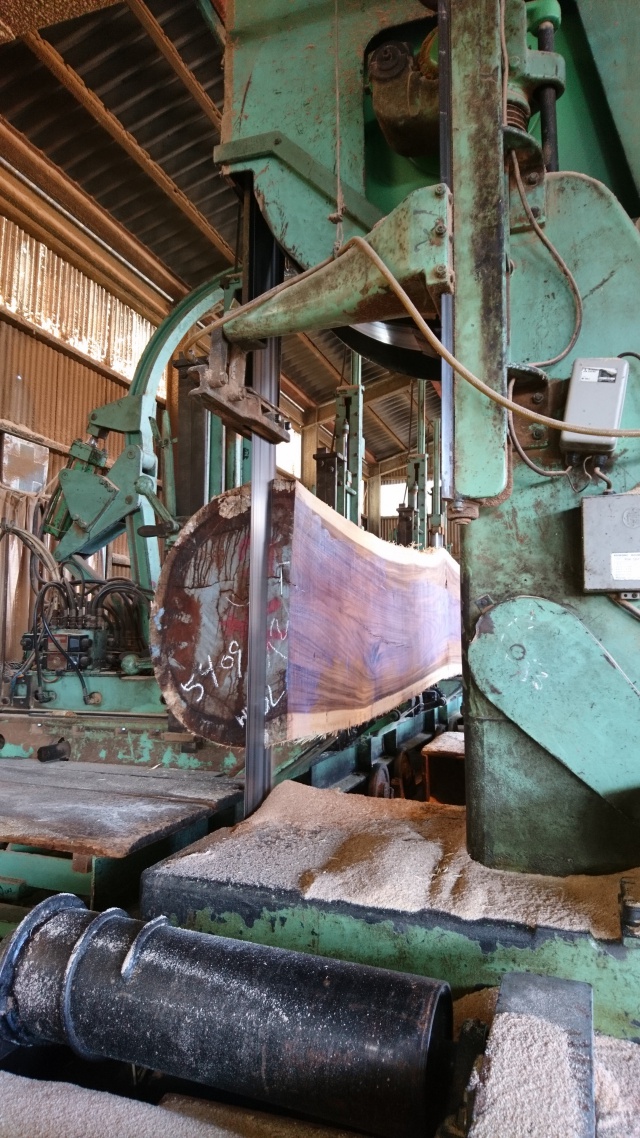 モンキーポッド　一枚板