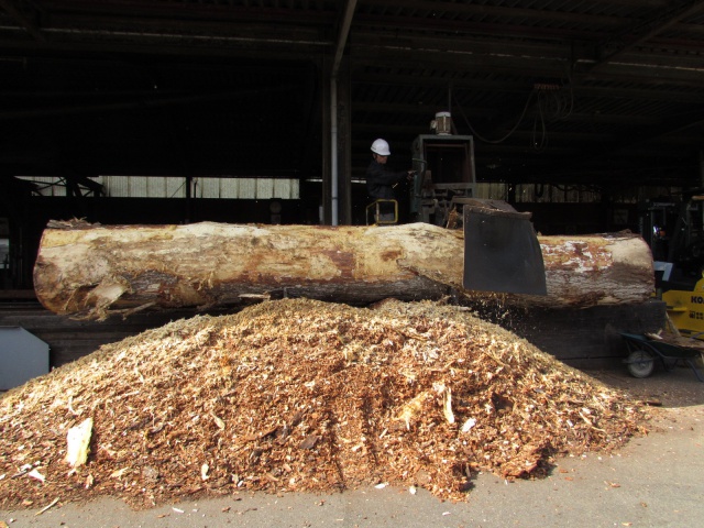 モンキーポッド　無垢材