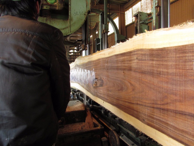 モンキーポッド　一枚板