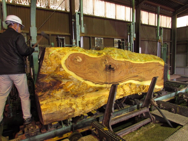 黄蘗（キハダ）　無垢材