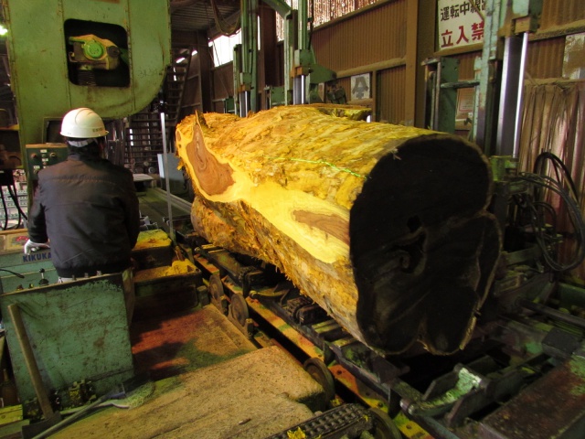 黄蘗（キハダ）　無垢材