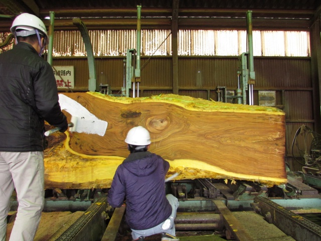 黄蘗（キハダ）　無垢材