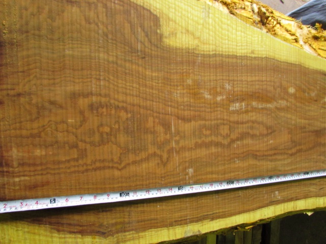 黄蘗（キハダ）　無垢材