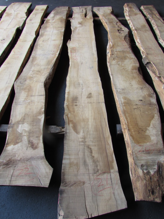 オリーブ　無垢材