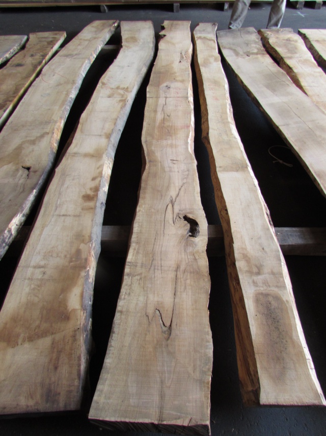 オリーブ　無垢材