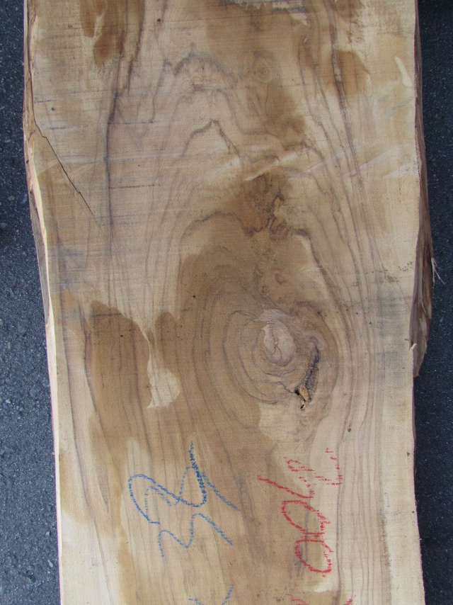 オリーブ　無垢材